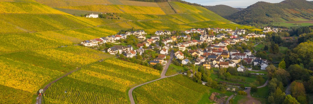 Luftaufnahme der Ortsgemeinde Ockfen mit Blick auf die Weinberge