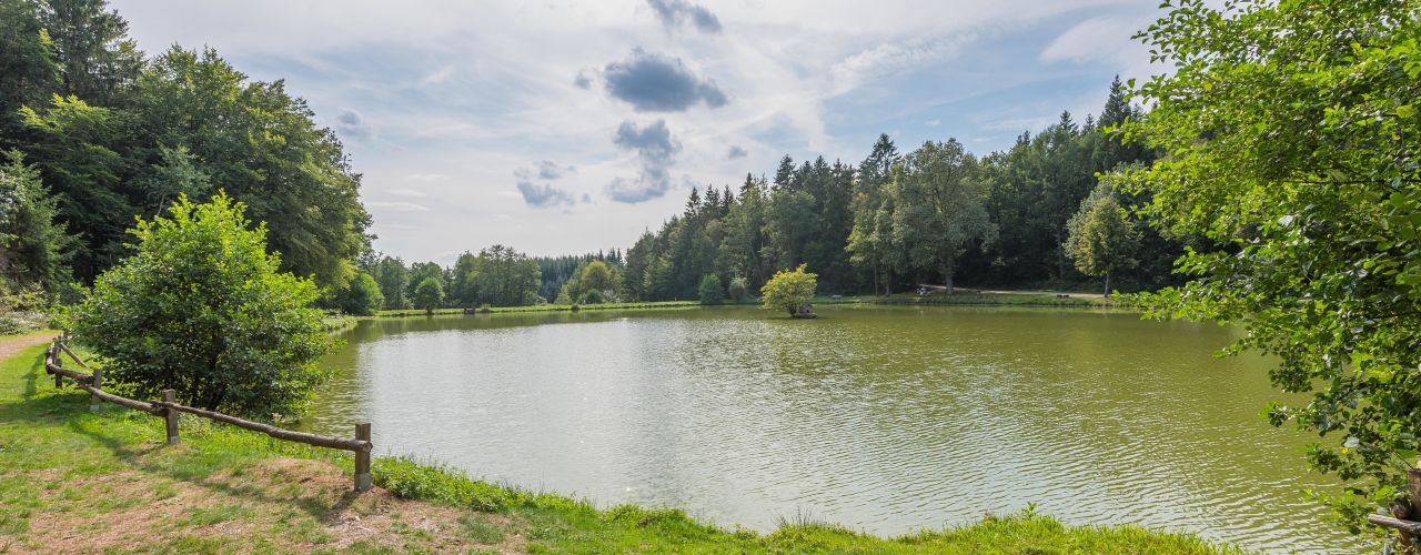 Sonniger Blick auf den See der Ortsgemeinde Schillingen