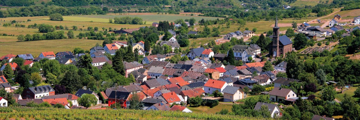 Blick vom Weinberg auf die Ortsgemeinde Ayl im Sommer